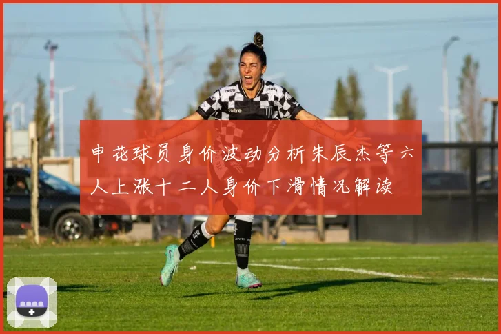 申花球员身价波动分析朱辰杰等六人上涨十二人身价下滑情况解读